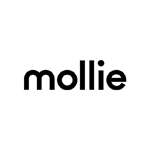Online marketing bureau Krachtig Online partner van Mollie
